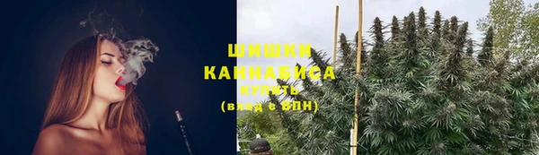 тгк Зеленодольск
