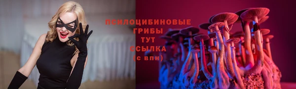 гашишное масло Заводоуковск