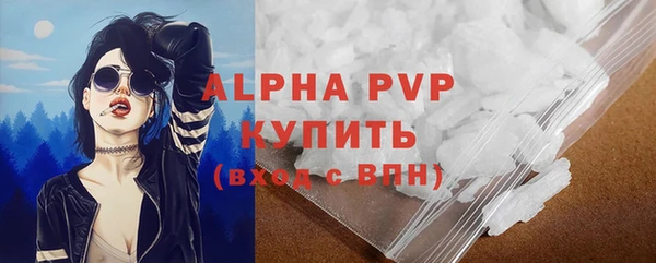 ПСИЛОЦИБИНОВЫЕ ГРИБЫ Заволжье