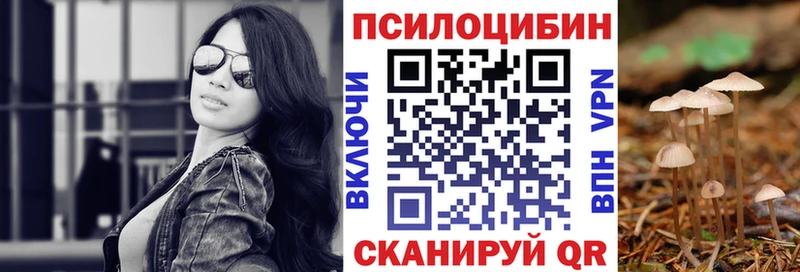 кракен как войти Магадан Галлюциногенные грибы Magic Shrooms