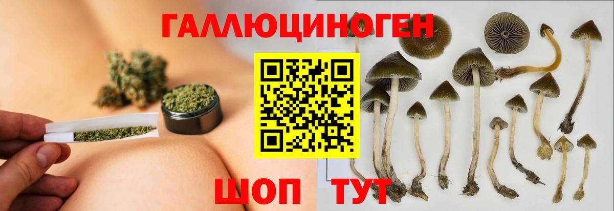 Магадан  Псилоцибиновые грибы прущие грибы  Вход с VPN 